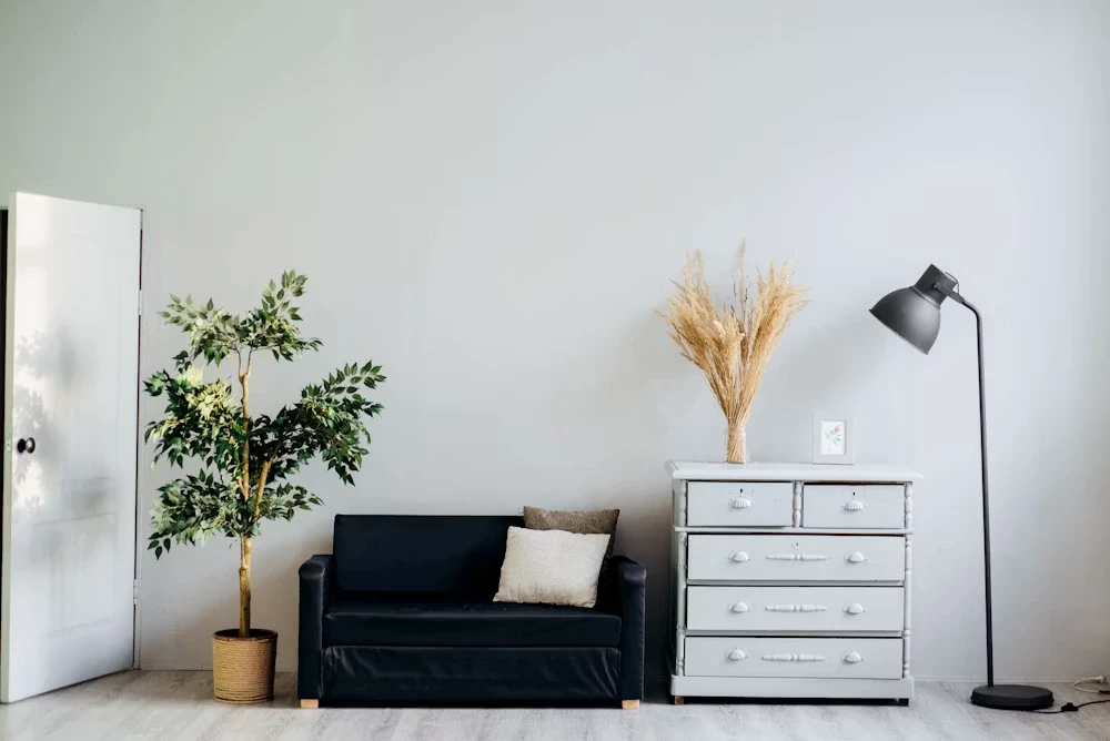 Framed artworks displayed on a shelf